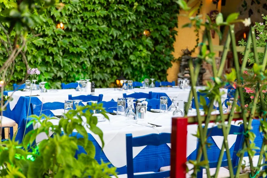 Tables laid with white cloths and blue runners under the greenery