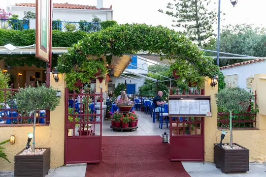 The entrance path, red carpet between potted olives and a leafy arch