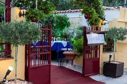 The garden gate with an olive tree standing beside it
