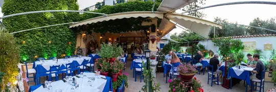 A wide view across the garden with guests at the tables